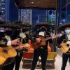 MARIACHI LOS TORITOS Paquete serenata con mariachi - Imagen 3